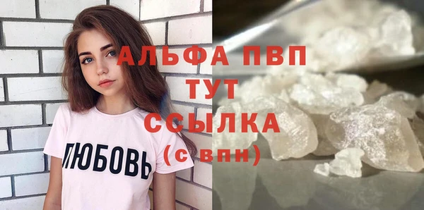 индика Бронницы