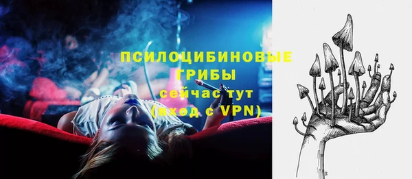 индика Бронницы