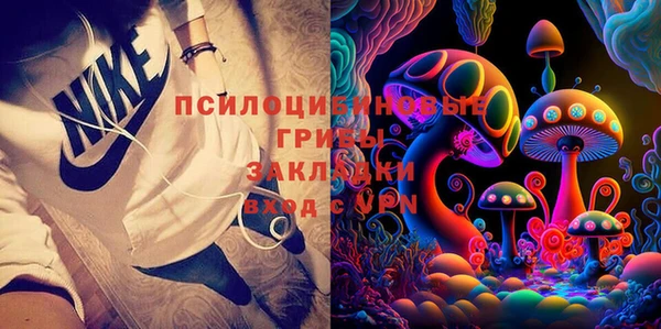 индика Бронницы