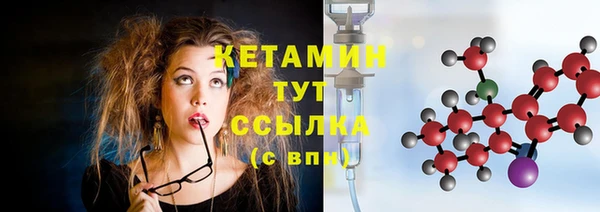индика Бронницы
