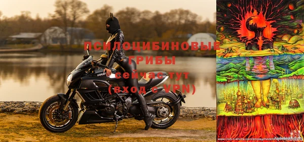 индика Бронницы