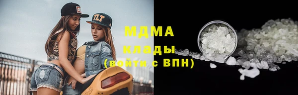 индика Бронницы