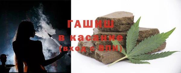 индика Бронницы