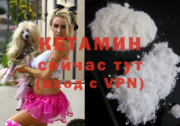 индика Бронницы