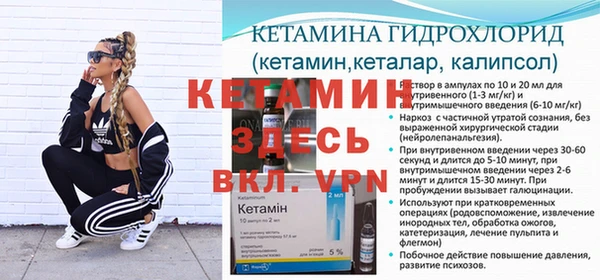 индика Бронницы