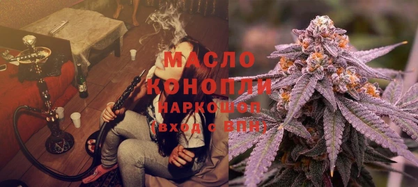 индика Бронницы