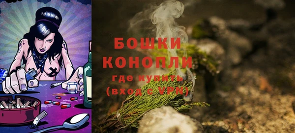 apvp Бородино