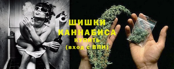 индика Бронницы
