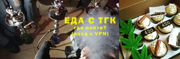 индика Бронницы
