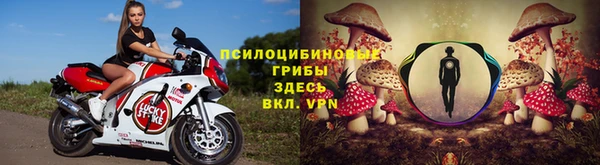 apvp Бородино